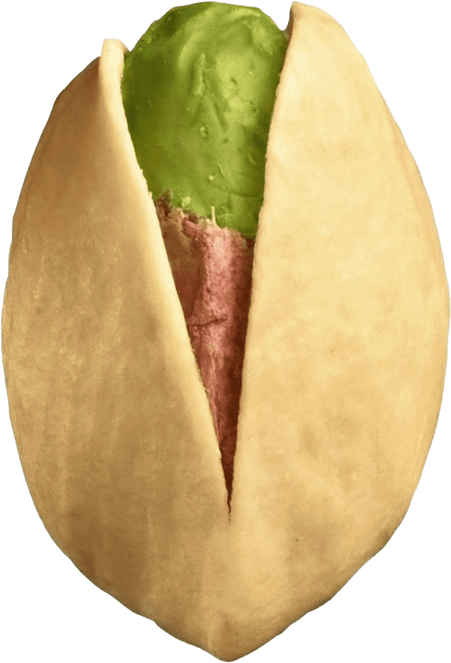 Pistachio